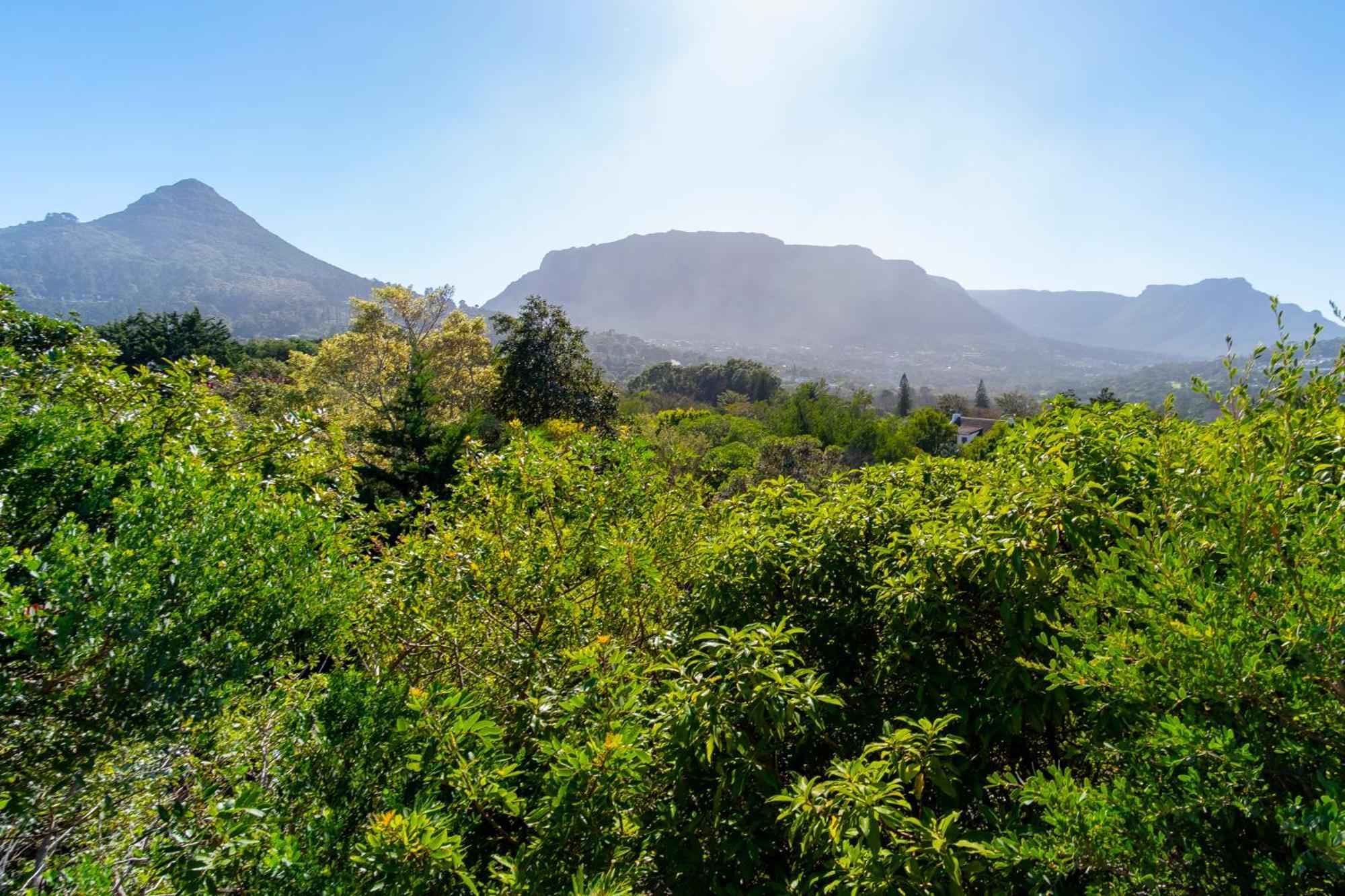 Hout Bay Hilltop Dış mekan fotoğraf